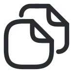 Document Copy SVG Icon